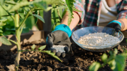 producción de agronutrientes