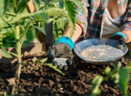 producción de agronutrientes
