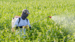 envases para fitosanitarios