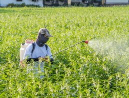 envases para fitosanitarios